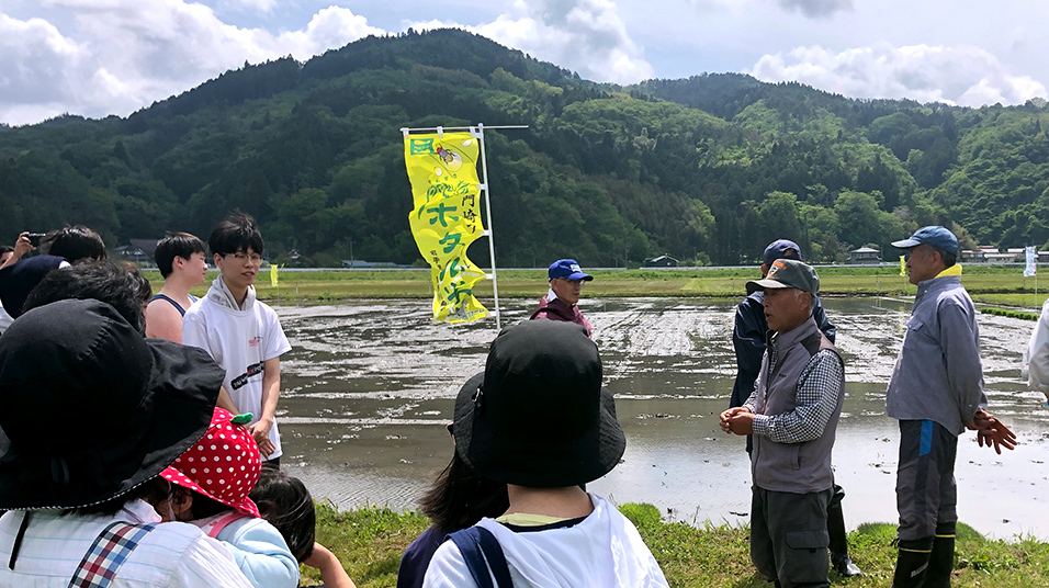 環境保全活動（めだかの学校）支援