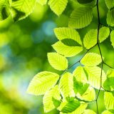 SDGsの最新動向とエネルギー管理の最前線