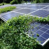 太陽光発電のトラブル対応！現場で遭遇する故障の原因と対策