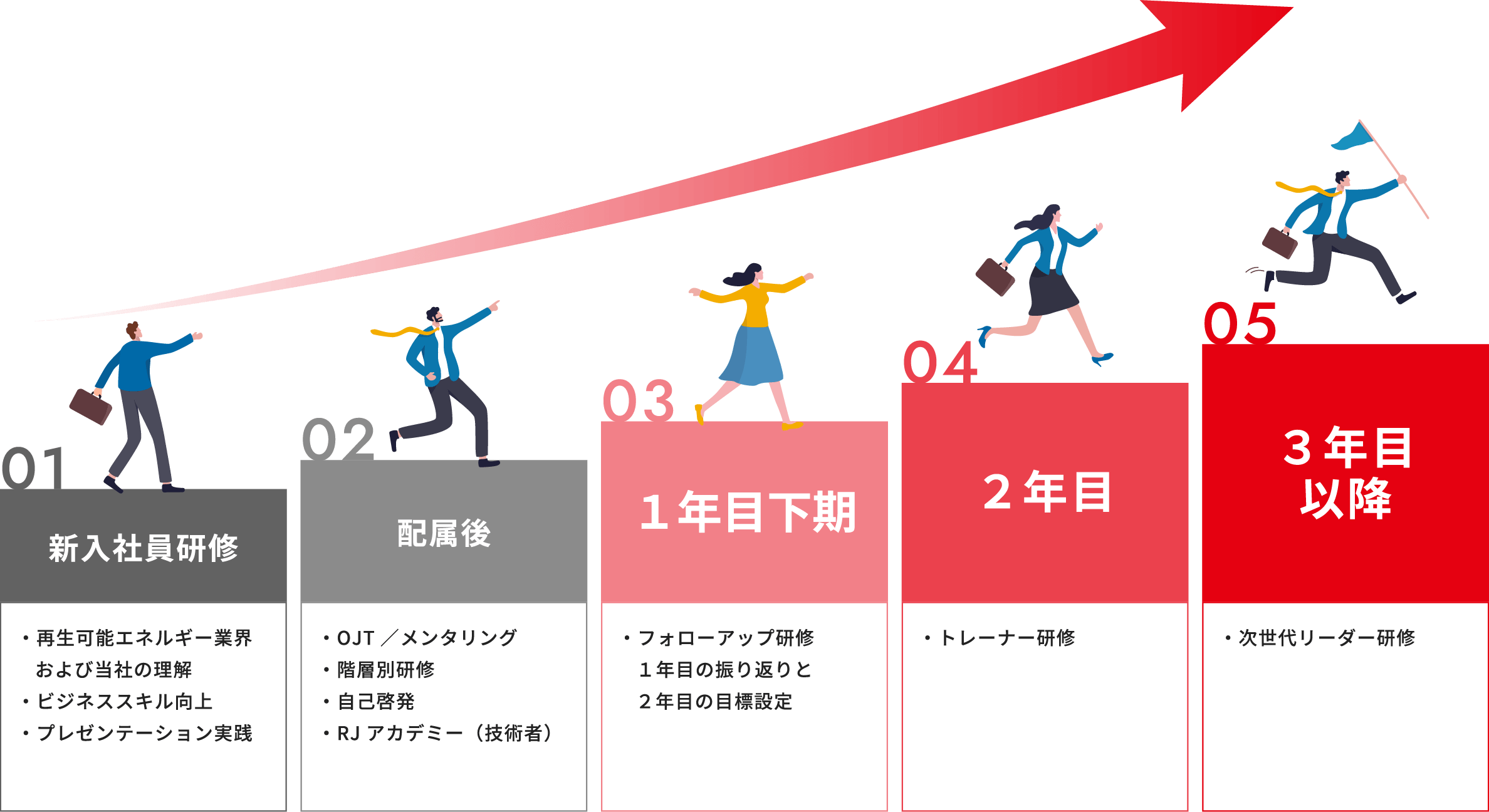 新卒育成プラン