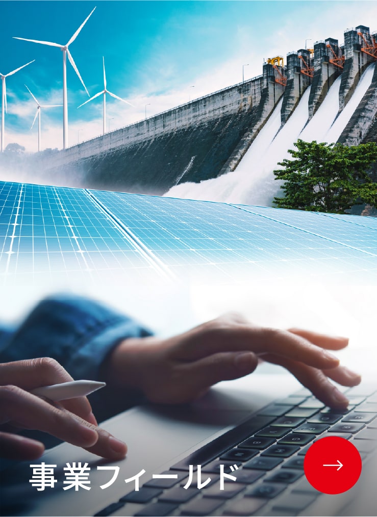 事業フィールド